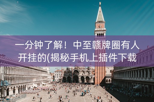 一分钟了解！中至赣牌圈有人开挂的(揭秘手机上插件下载)