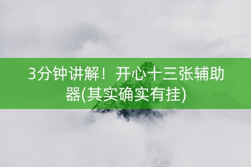 3分钟讲解！开心十三张辅助器(其实确实有挂)