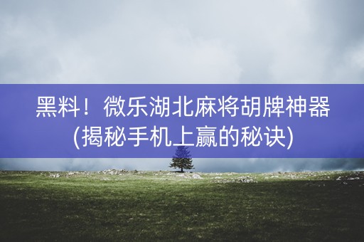 黑料！微乐湖北麻将胡牌神器(揭秘手机上赢的秘诀)