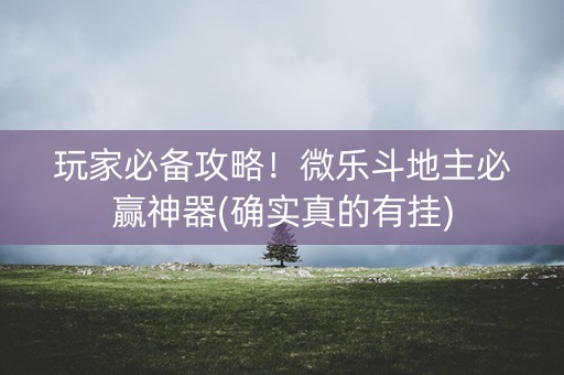 玩家必备攻略！微乐斗地主必赢神器(确实真的有挂)
