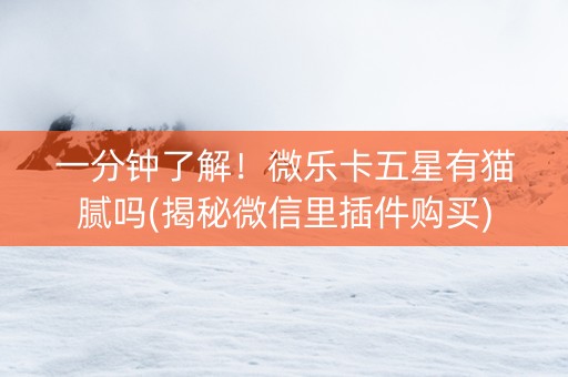 一分钟了解！微乐卡五星有猫腻吗(揭秘微信里插件购买)