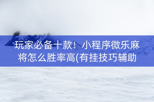 玩家必备十款！小程序微乐麻将怎么胜率高(有挂技巧辅助器)