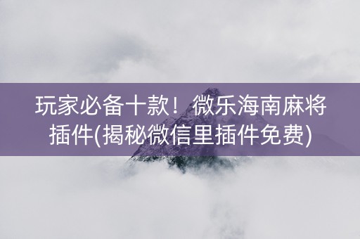 玩家必备十款！微乐海南麻将插件(揭秘微信里插件免费)