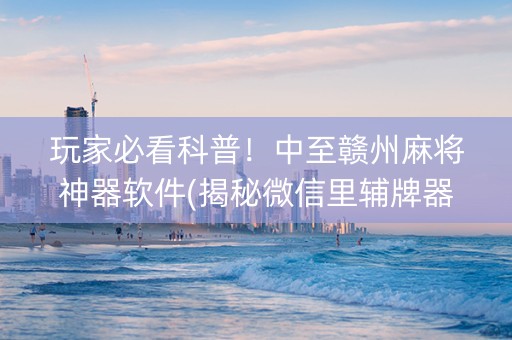 玩家必看科普！中至赣州麻将神器软件(揭秘微信里辅牌器)