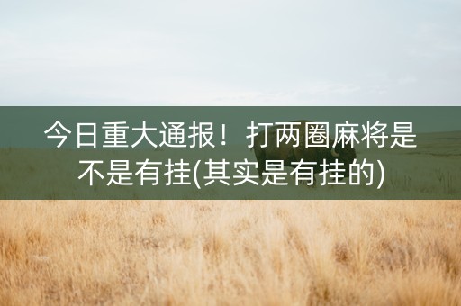 今日重大通报！打两圈麻将是不是有挂(其实是有挂的)