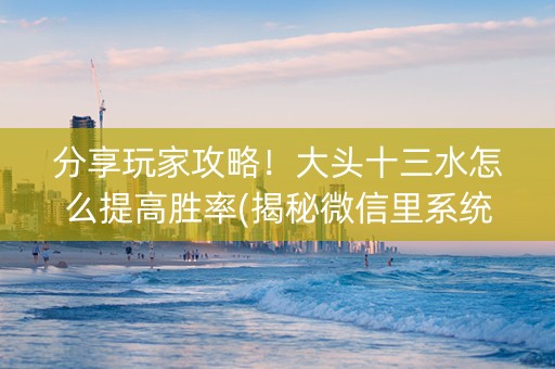 分享玩家攻略！大头十三水怎么提高胜率(揭秘微信里系统发好牌)