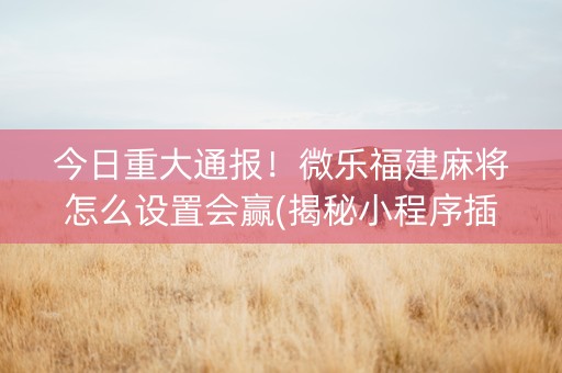 今日重大通报！微乐福建麻将怎么设置会赢(揭秘小程序插件免费)