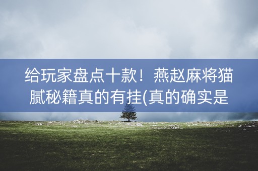 给玩家盘点十款！燕赵麻将猫腻秘籍真的有挂(真的确实是有挂)