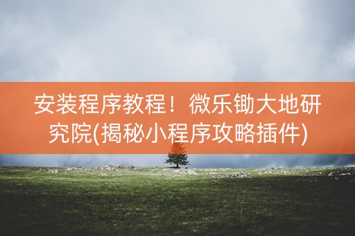 安装程序教程！微乐锄大地研究院(揭秘小程序攻略插件)