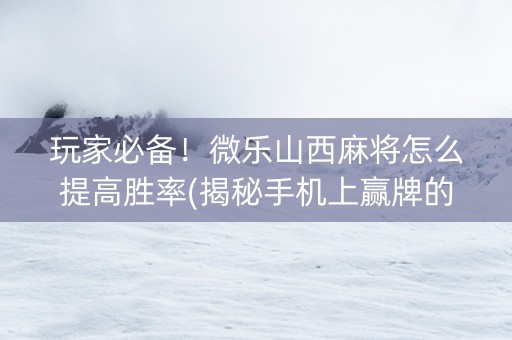 玩家必备！微乐山西麻将怎么提高胜率(揭秘手机上赢牌的技巧)