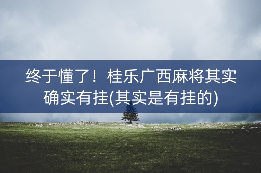 终于懂了！桂乐广西麻将其实确实有挂(其实是有挂的)