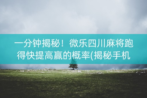 一分钟揭秘！微乐四川麻将跑得快提高赢的概率(揭秘手机上胡牌技巧)