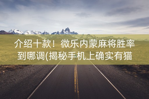 介绍十款！微乐内蒙麻将胜率到哪调(揭秘手机上确实有猫腻)