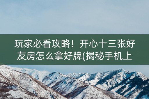 玩家必看攻略！开心十三张好友房怎么拿好牌(揭秘手机上赢牌技巧)