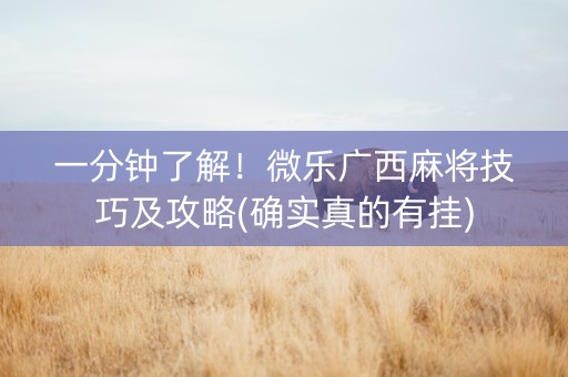 一分钟了解！微乐广西麻将技巧及攻略(确实真的有挂)
