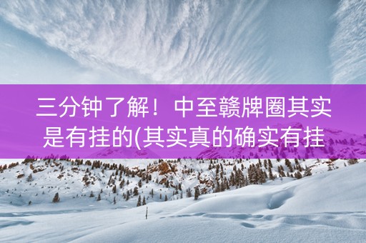 三分钟了解！中至赣牌圈其实是有挂的(其实真的确实有挂)