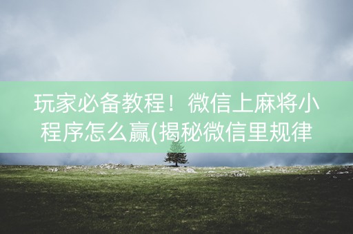 玩家必备教程！微信上麻将小程序怎么赢(揭秘微信里规律攻略)