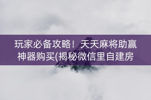 玩家必备攻略！天天麻将助赢神器购买(揭秘微信里自建房怎么赢)