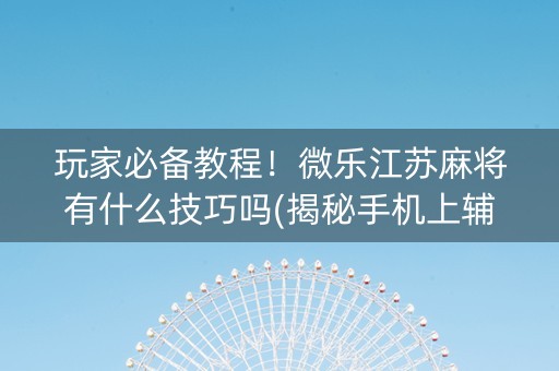 玩家必备教程！微乐江苏麻将有什么技巧吗(揭秘手机上辅牌器)