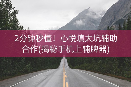 2分钟秒懂！心悦填大坑辅助合作(揭秘手机上辅牌器)