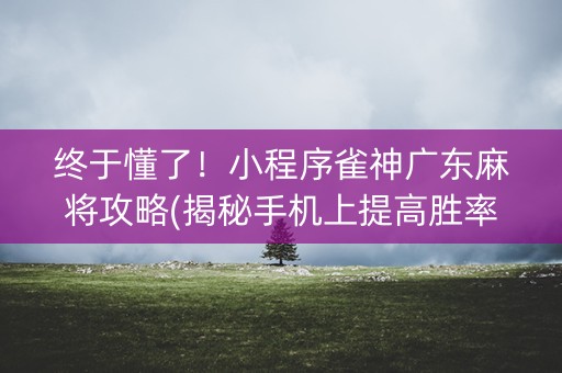 终于懂了！小程序雀神广东麻将攻略(揭秘手机上提高胜率)