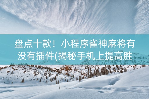 盘点十款！小程序雀神麻将有没有插件(揭秘手机上提高胜率)