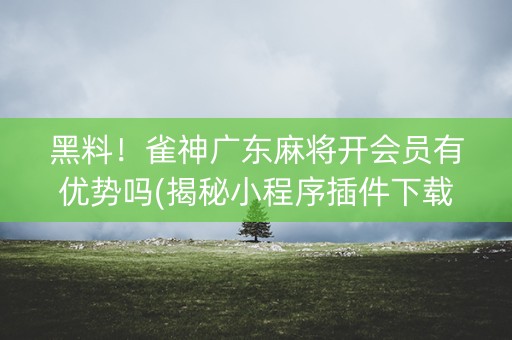 黑料！雀神广东麻将开会员有优势吗(揭秘小程序插件下载)