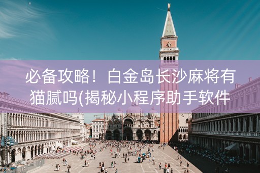 必备攻略！白金岛长沙麻将有猫腻吗(揭秘小程序助手软件)