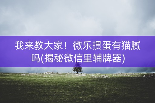 我来教大家！微乐掼蛋有猫腻吗(揭秘微信里辅牌器)