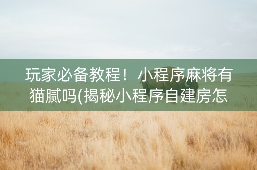玩家必备教程！小程序麻将有猫腻吗(揭秘小程序自建房怎么赢)