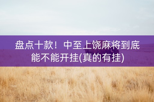盘点十款！中至上饶麻将到底能不能开挂(真的有挂)
