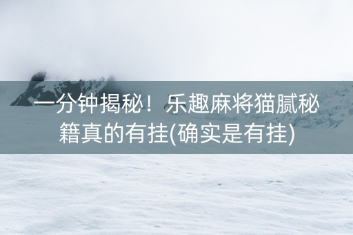 一分钟揭秘！乐趣麻将猫腻秘籍真的有挂(确实是有挂)