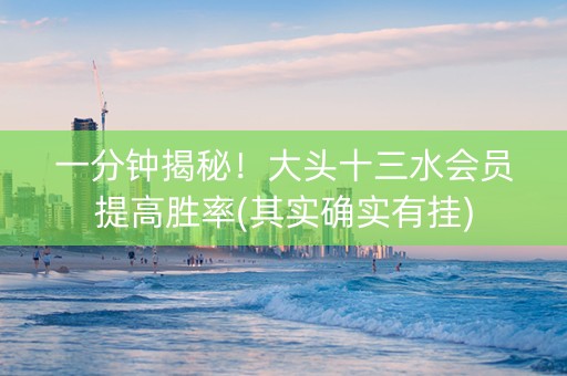 一分钟揭秘！大头十三水会员提高胜率(其实确实有挂)