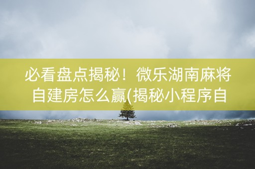 必看盘点揭秘！微乐湖南麻将自建房怎么赢(揭秘小程序自建房怎么赢)