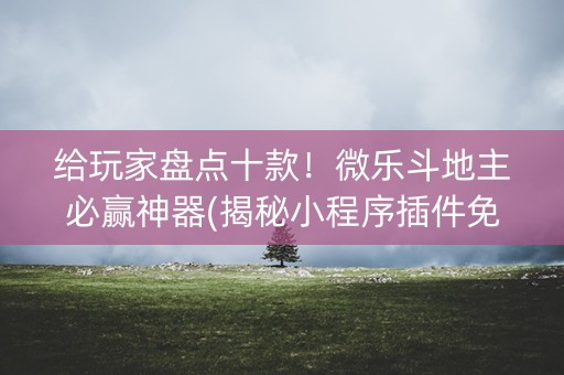 给玩家盘点十款！微乐斗地主必赢神器(揭秘小程序插件免费)