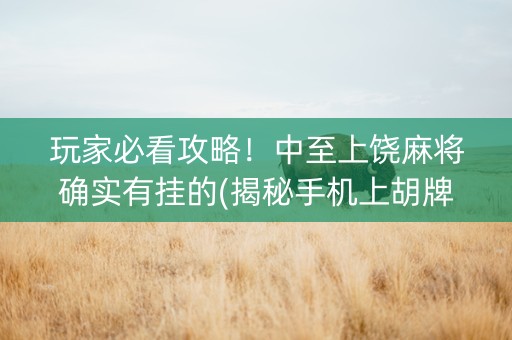 玩家必看攻略！中至上饶麻将确实有挂的(揭秘手机上胡牌技巧)