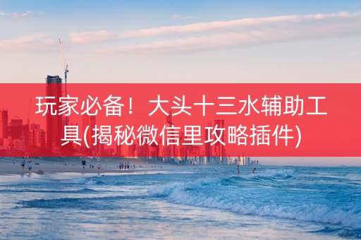 玩家必备！大头十三水辅助工具(揭秘微信里攻略插件)
