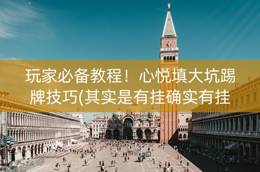 玩家必备教程！心悦填大坑踢牌技巧(其实是有挂确实有挂)