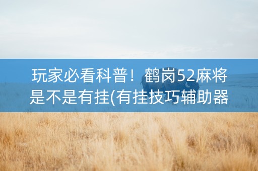 玩家必看科普！鹤岗52麻将是不是有挂(有挂技巧辅助器)