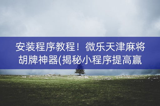 安装程序教程！微乐天津麻将胡牌神器(揭秘小程序提高赢的概率)