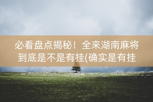 必看盘点揭秘！全来湖南麻将到底是不是有挂(确实是有挂的)