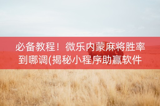 必备教程！微乐内蒙麻将胜率到哪调(揭秘小程序助赢软件)