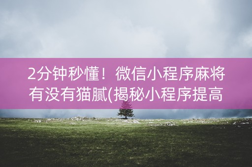 2分钟秒懂！微信小程序麻将有没有猫腻(揭秘小程序提高赢的概率)
