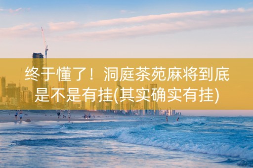 终于懂了！洞庭茶苑麻将到底是不是有挂(其实确实有挂)