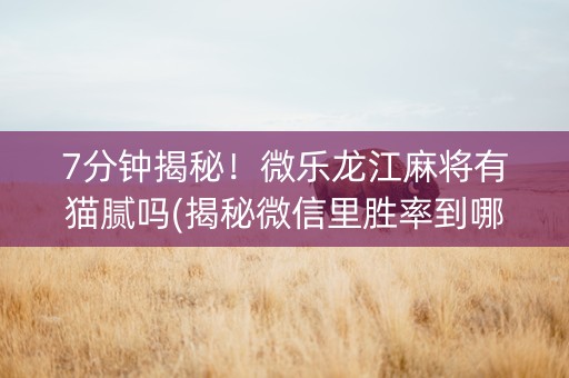 7分钟揭秘！微乐龙江麻将有猫腻吗(揭秘微信里胜率到哪调)