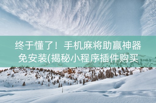 终于懂了！手机麻将助赢神器免安装(揭秘小程序插件购买)
