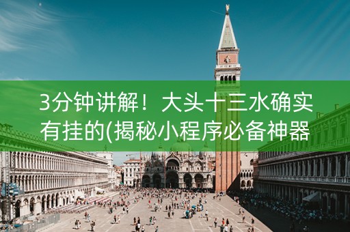 3分钟讲解！大头十三水确实有挂的(揭秘小程序必备神器)