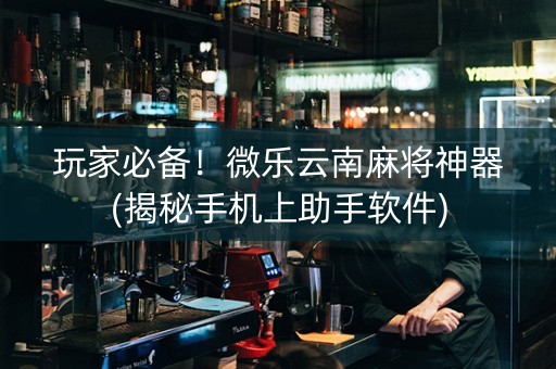 玩家必备！微乐云南麻将神器(揭秘手机上助手软件)