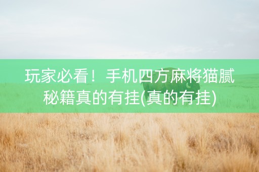 玩家必看！手机四方麻将猫腻秘籍真的有挂(真的有挂)