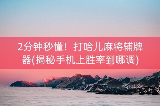 2分钟秒懂！打哈儿麻将辅牌器(揭秘手机上胜率到哪调)